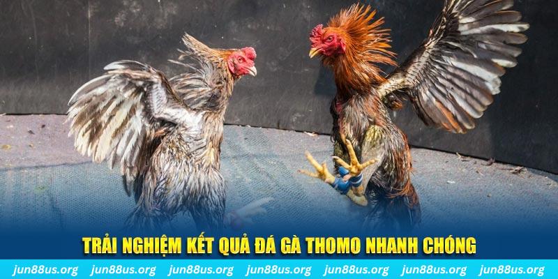 iwin sòng bạc Sòng bạc